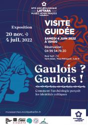 Samedi 4 juin 2022 à 15h > Visite guidée de l'exposition "Gaulois ? Gaulois ! Comment l'archéologie perçoit les identités celtiques"